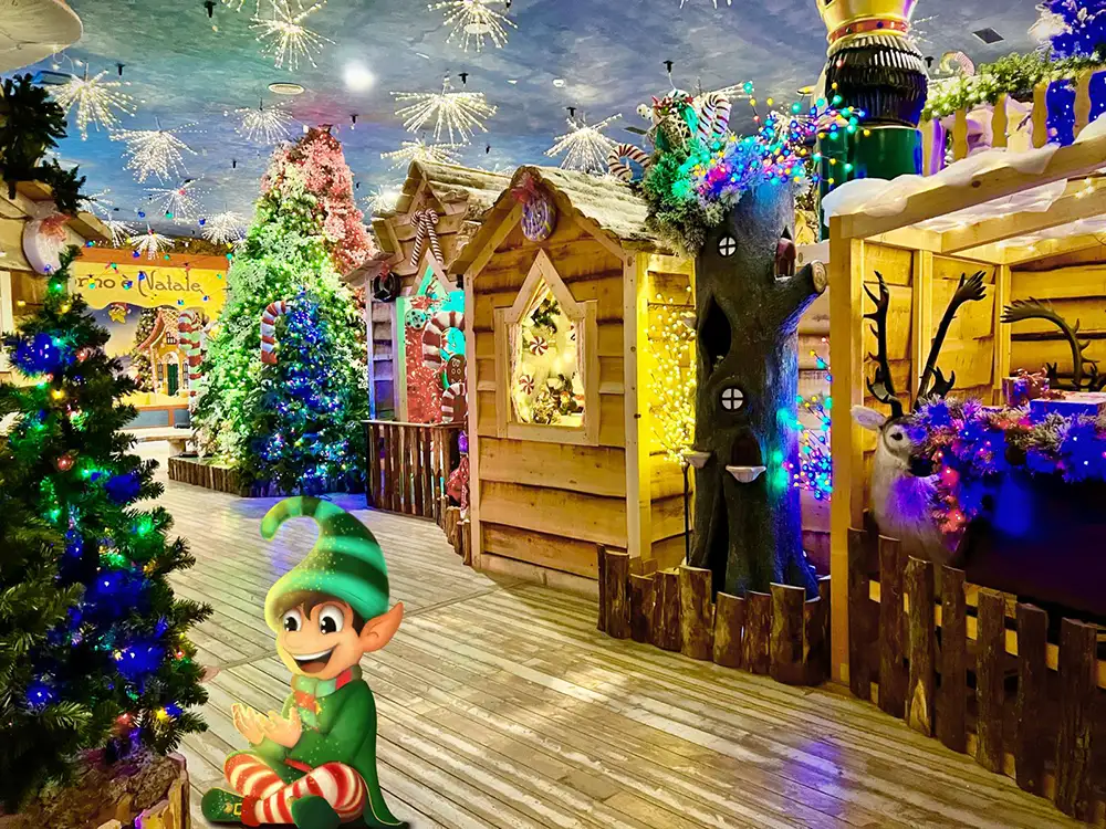 il bosco incantato