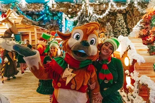 Elfi alla gita scolastica di Natale