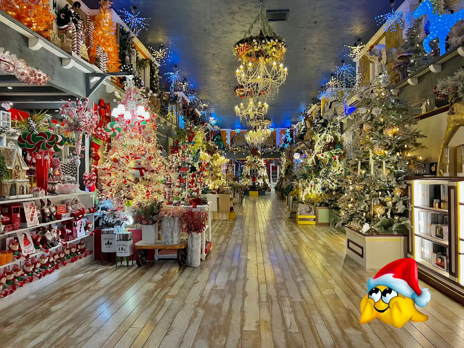 Megastore di Natale