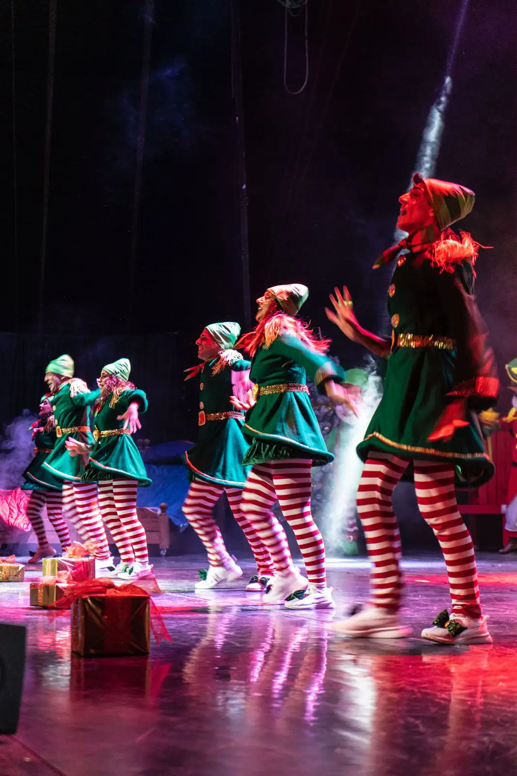 Musical Regno di Babbo Natale